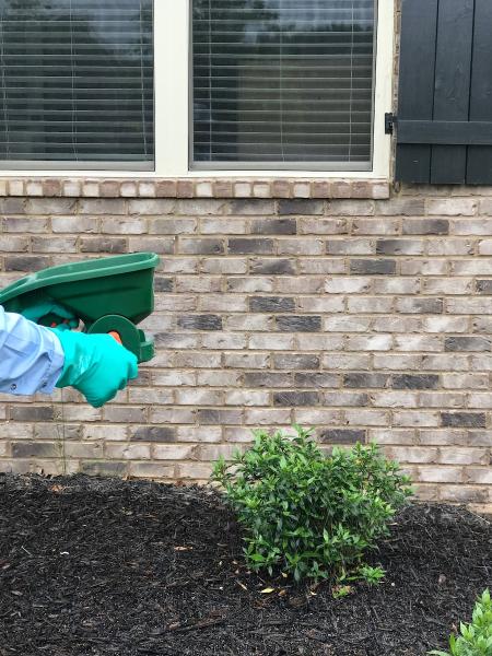 Anthem Pest Control