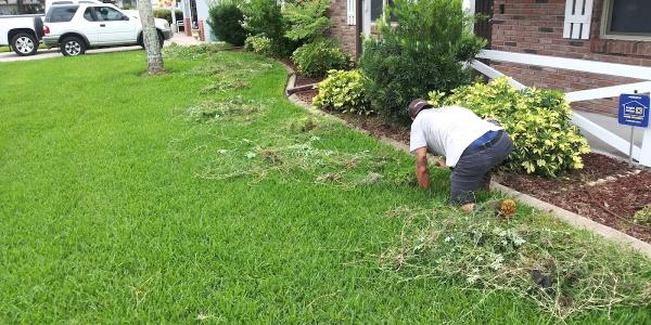 Grass Blasters