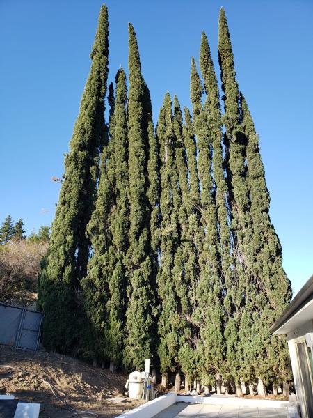 Granada Tree Service
