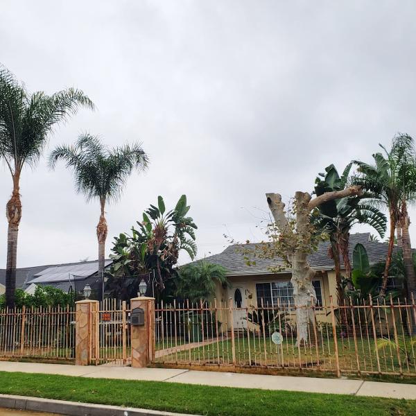 Granada Tree Service