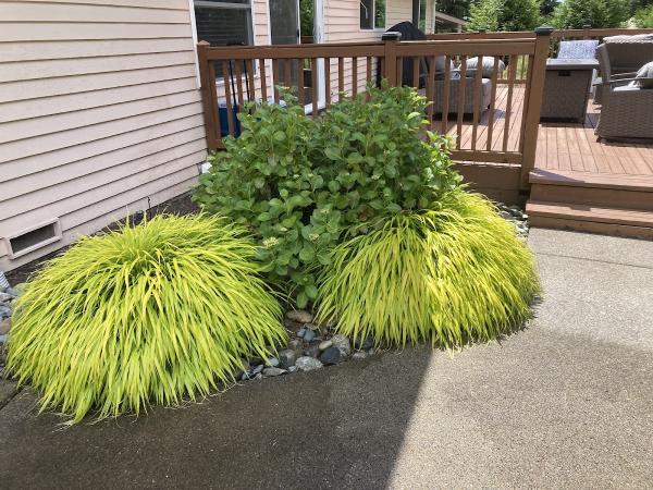 Jhoans Landscaping LLC