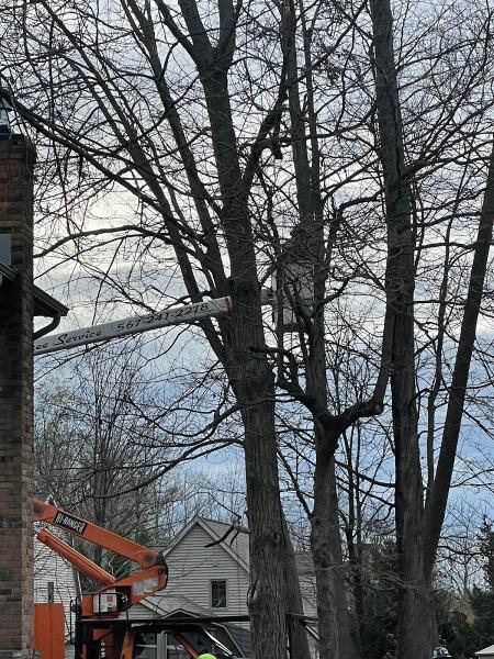 K & A Tree Service