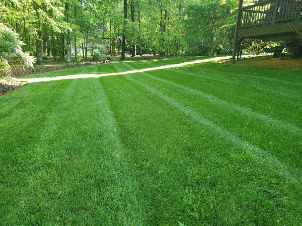 Liberty Lawns Llc