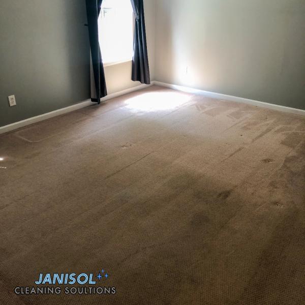 Janisol Cleaning