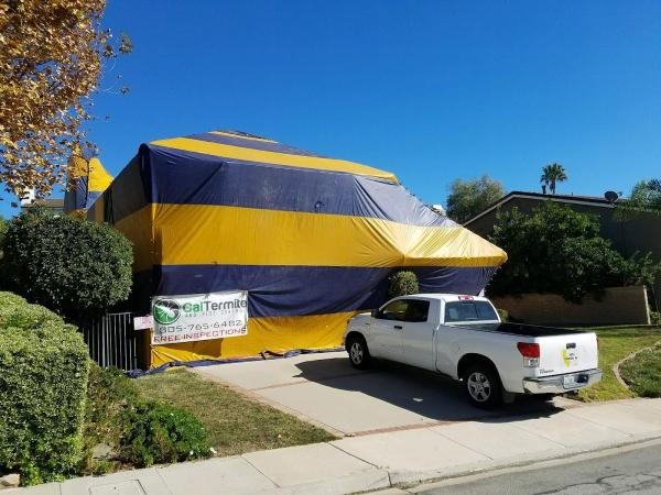 Cal Termite & Pest Control