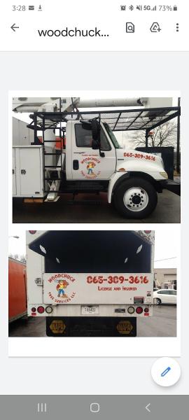 Woodchuck Tree Services Llc