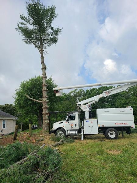 Woodchuck Tree Services Llc