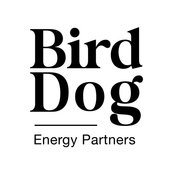Bird Dog Energy