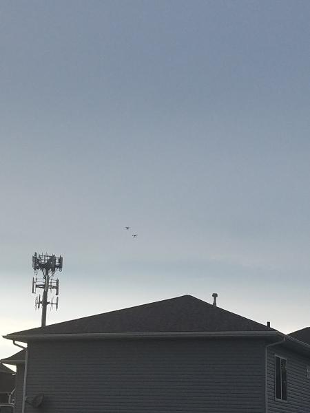 Floors by Dave