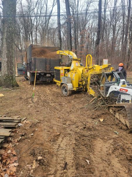 Allison Tree Services