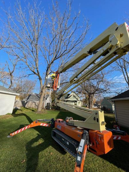 Roots Tree Service