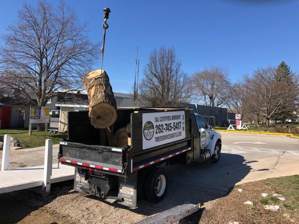Roots Tree Service