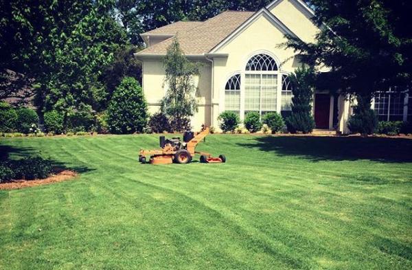 Jones & Co. Lawn Care Professionals