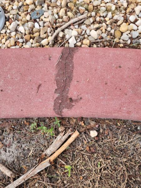 Curb Appeal Concrete Borders