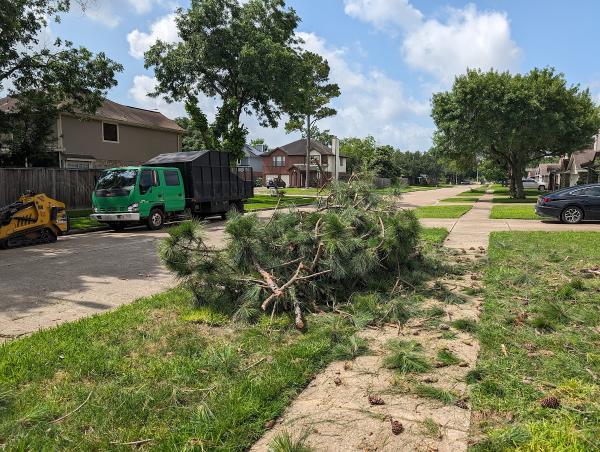 Gabby's Tree Service