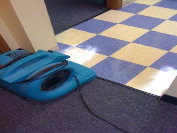 The Cleaning Guy