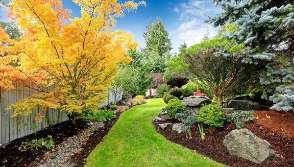 Serious Lawn & Landscape