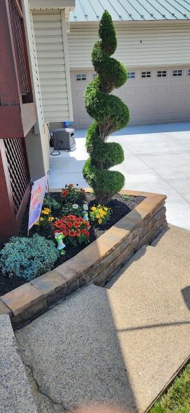 Serious Lawn & Landscape