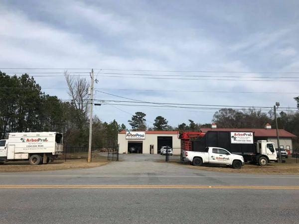 Arbor Pro Tree Service Company