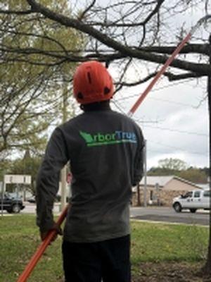 Arbortrue Tree Service