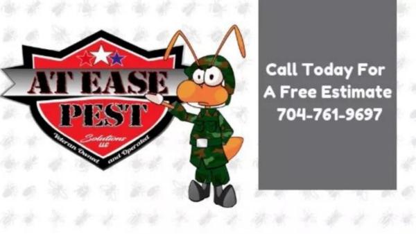 At Ease Pest Solutions