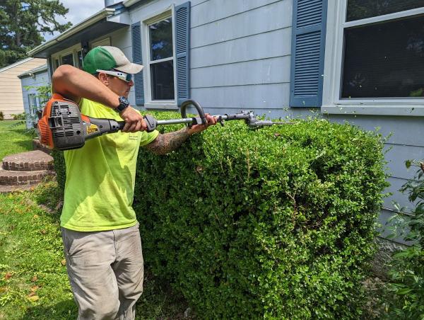 Hampton Roads Tree and Brush Removal