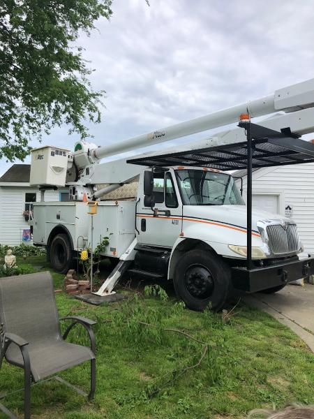 Hampton Roads Tree and Brush Removal