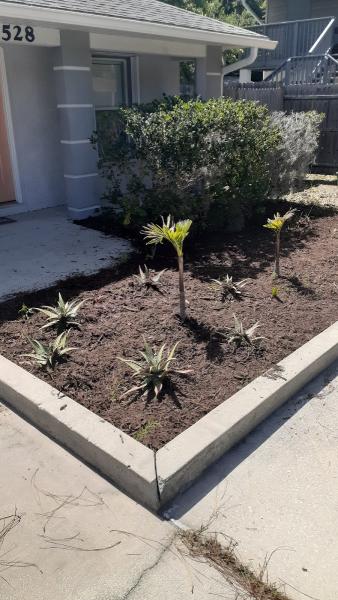 At the Edge Family Service (Lawn Care and Cleaning