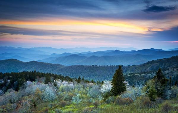 Kaizen Rentals Pigeon Forge Property Management