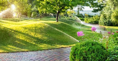 True Lawn Care