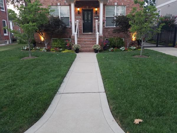 Selective Lawn Care & Services
