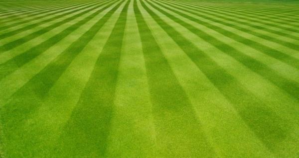 Logan Lawn Care