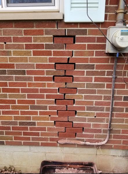 Eagles Nest Chimney Services and More