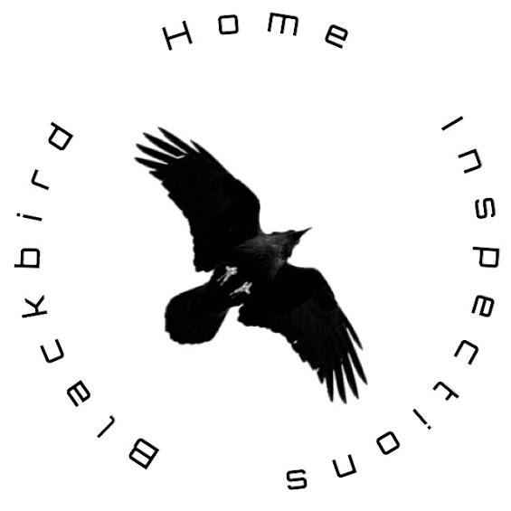 Blackbird Home Inspections