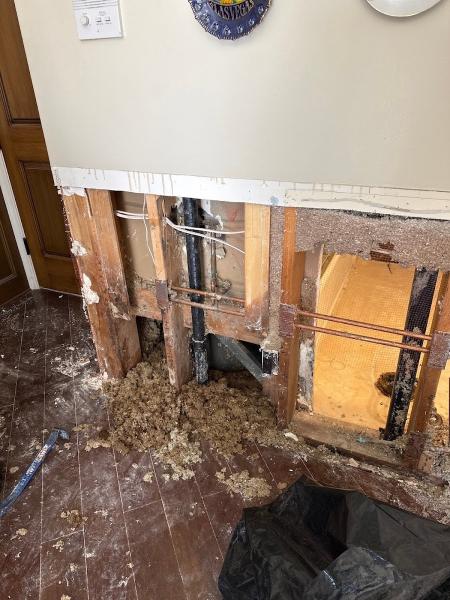 Arizona Restoration Specialists