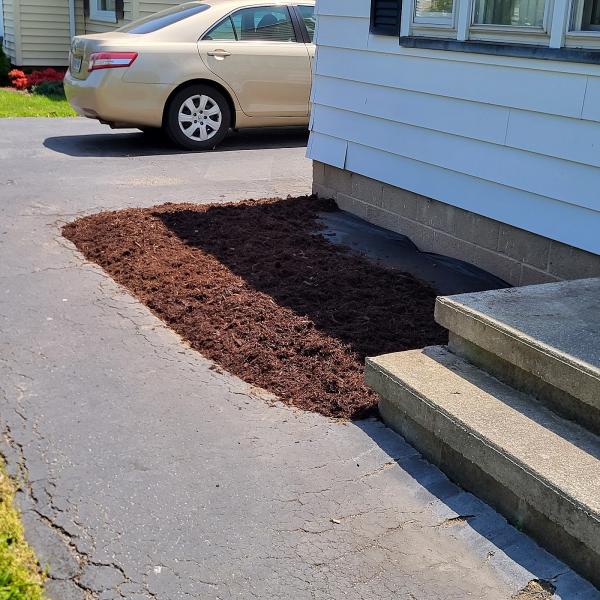 Local Lawn and Landscaping