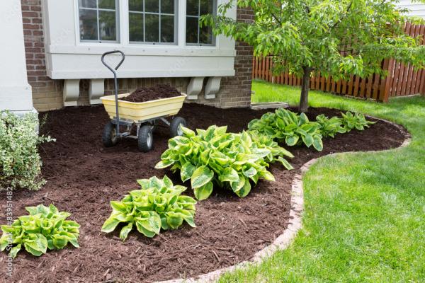 Asap Earth Landscaping & Lawn Care