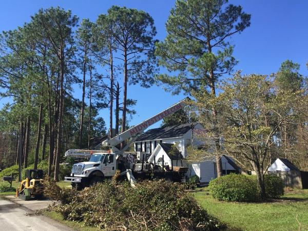 Midwest Tree Service