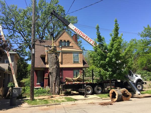 Midwest Tree Service