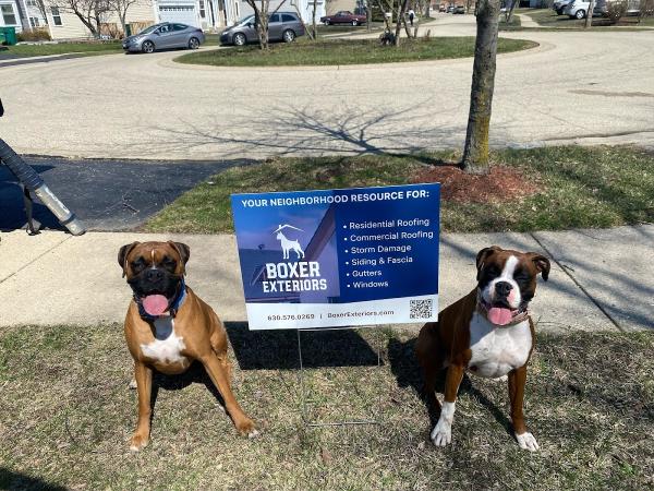 Boxer Exteriors