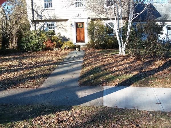 Matt's Meticulous Landscaping