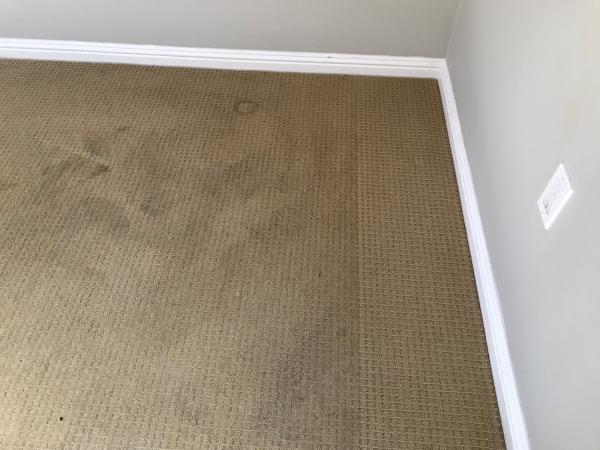 Norcal Carpet Cleaning