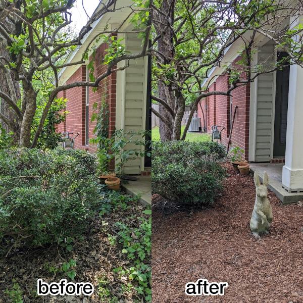 Lewis Lawn Care Services
