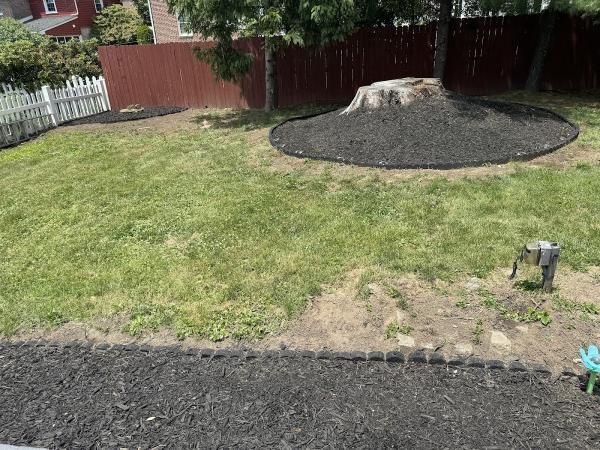 Jose Cleaning Services LLC