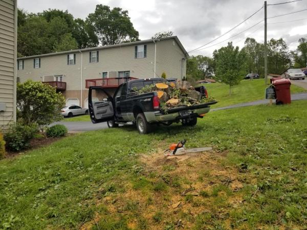 Woodfellas Tree Service