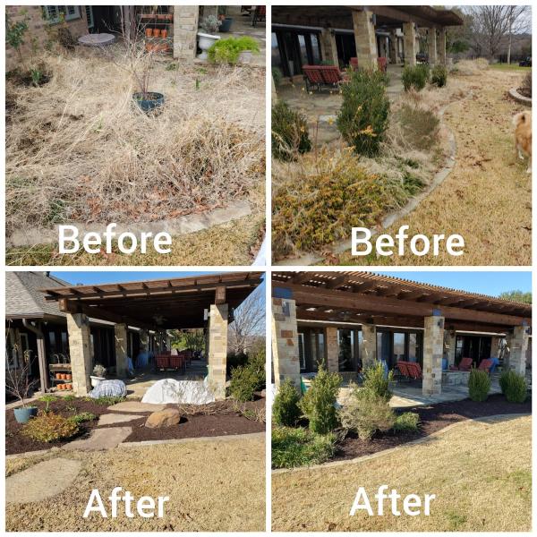 Divine Scenery Tree Service