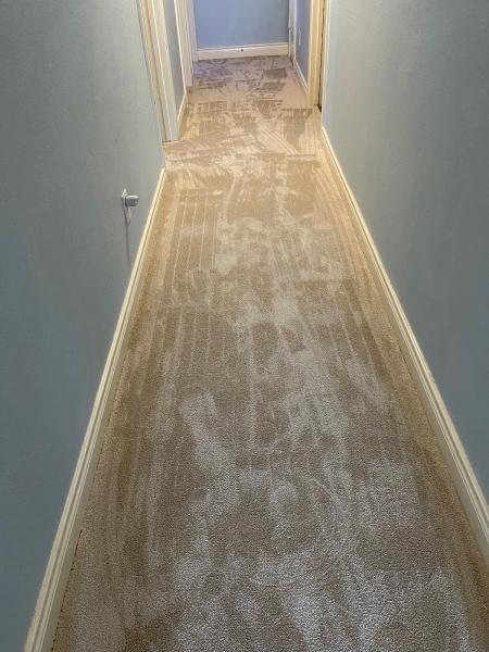 Texas Floors