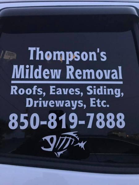 Thompson's Mildew Removal