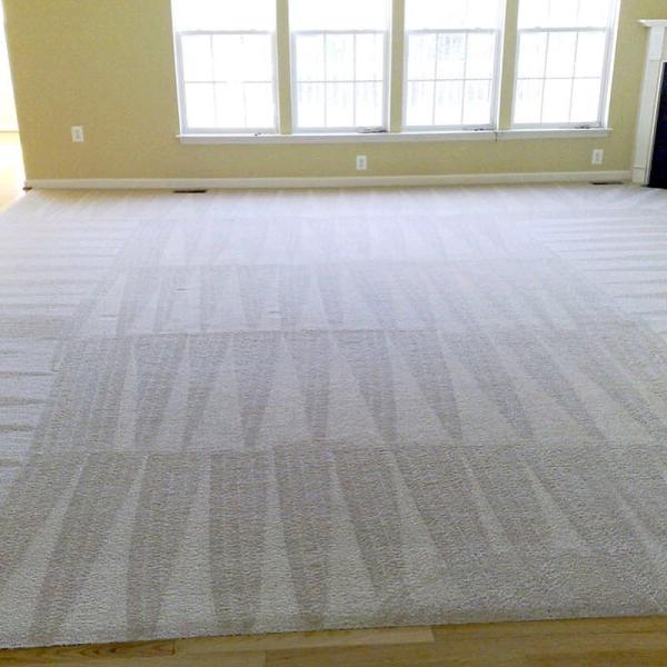 Safe-Dry Carpet Cleaning