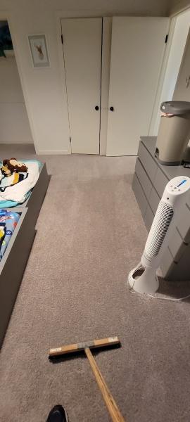 Safe-Dry Carpet Cleaning
